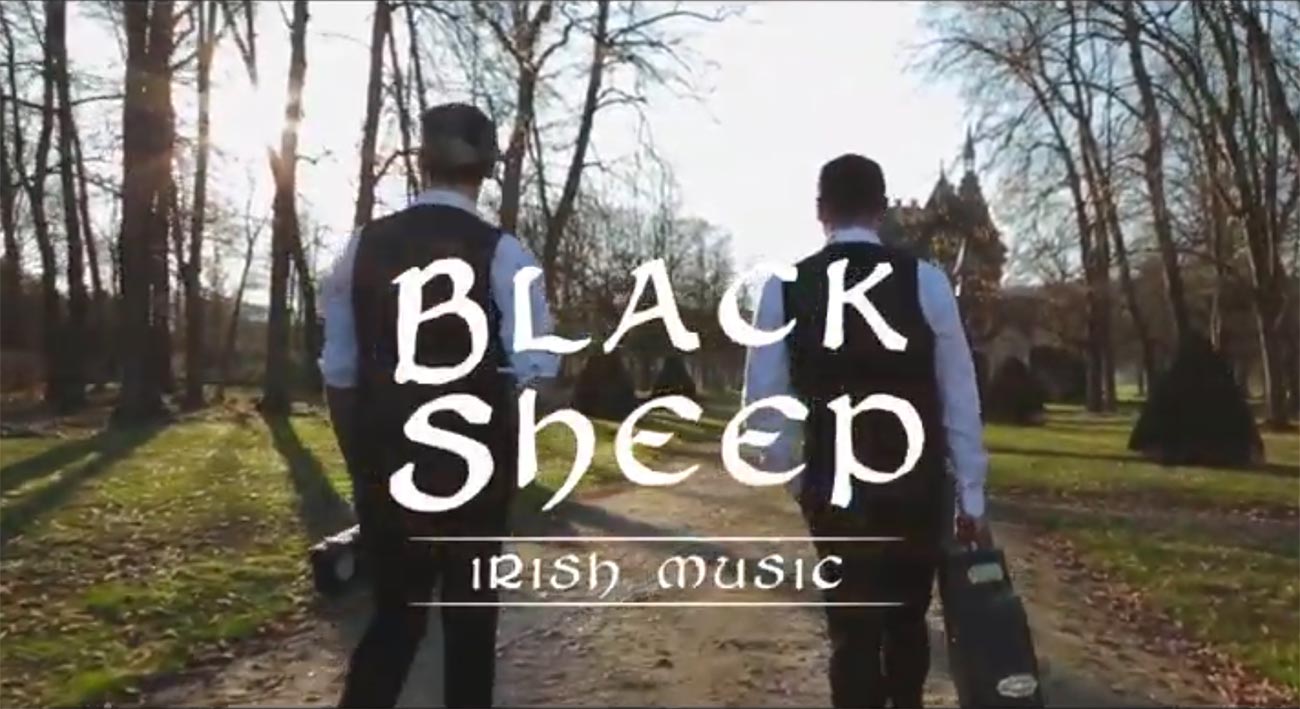 Black Sheep musique irlandaise